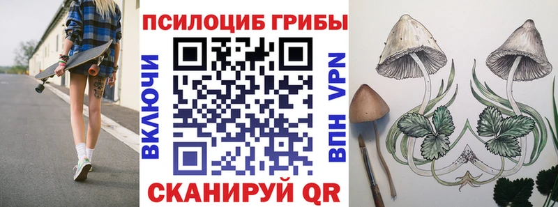 Галлюциногенные грибы прущие грибы Купить где Самара